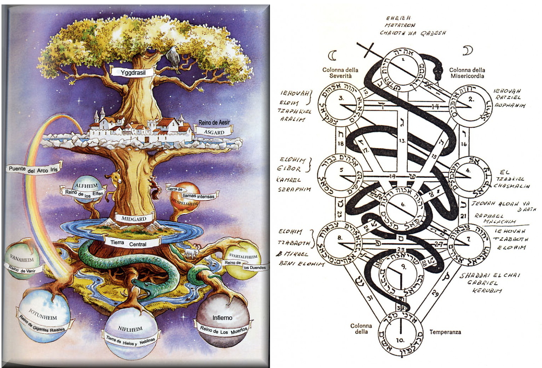 Alberi Cosmici A Confronto I Tarocchi Di Bimbasperduta