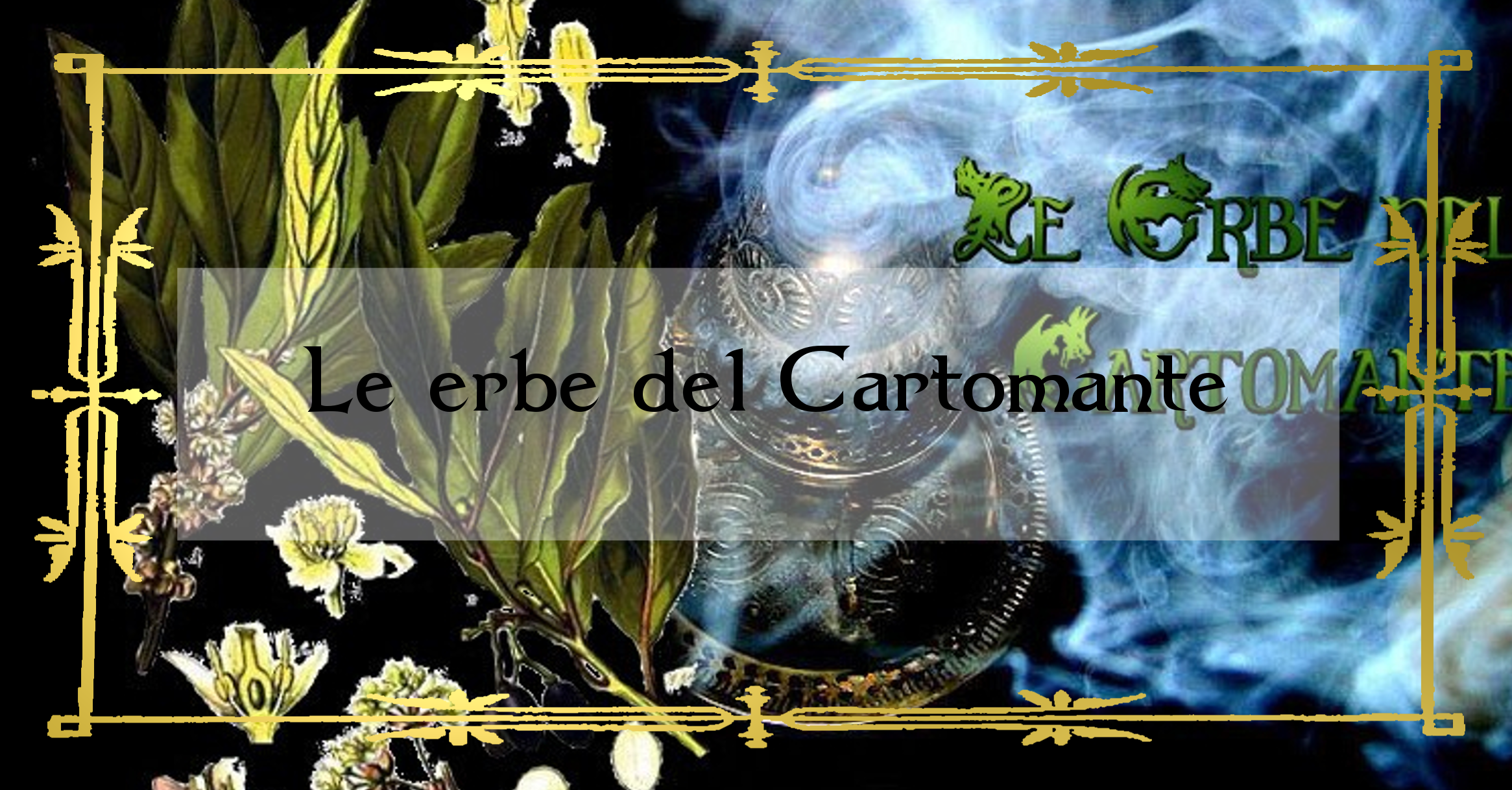 Le erbe del Cartomante